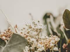 오랜만의 너에게 (상)