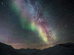 갑작스러운 진로찾기 대모험(?)