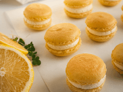 [마르코톰] macaron 2