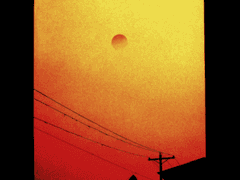 이 국장님, 참으로 억울해요~