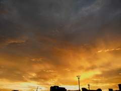 [지우견]담청의 고동