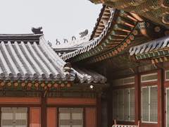 巨人國은 實存한다 序文