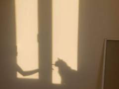 드라마틱: 나의 이타카 상