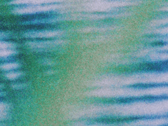 함께 살아가자.