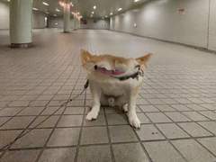 언젠가쓰도록하겠으니멤버쉽없는취급하세요❤️❤️