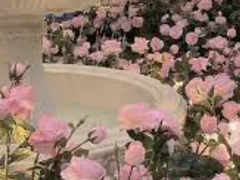 [무료] ENTJ의 갓생 루틴