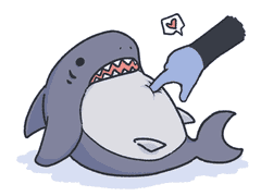 문어인어랑 반려상어 이야기