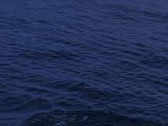 正義를 定義하다.