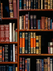 <team. i-zenta> 활동 모음