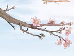 [화산귀환]매화는 언젠가는 지기 마련이다