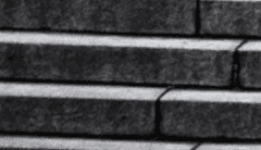 우린 닮아있어.