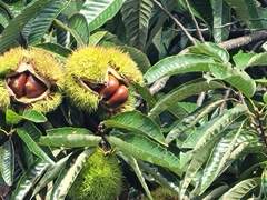 추석 연휴가 끝나고