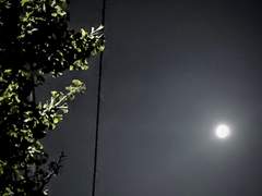 [하기마츠] 어느 날의 회상