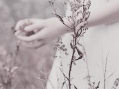 사랑하는 나의 戀人에게