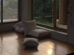 센티넬가이드 2