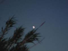 너와 함께한 날들은 즐거움으로 가득해. 반쪽짜리 달마저 아름다워 보여.