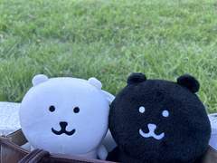 잠실 소녀 일대기...