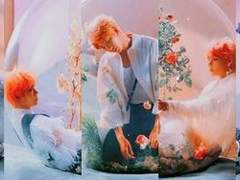 뱁새에 빙의했다 _ 2