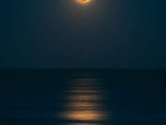 당보소형 현패 이혼썰