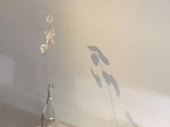 너와 함께하는 미래를