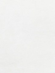 똥강아지와 당근주주