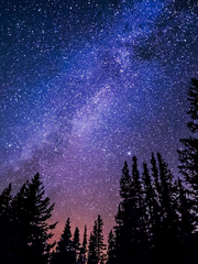 외로웠던 명왕성