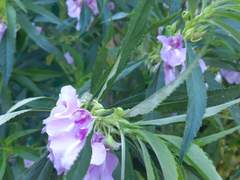 그 남자가 이상 행동을 보였던 이유