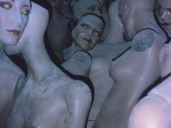 나의 짧았던 밤들에게.