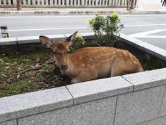 오사카 여행 사진