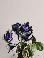 국슙: REAL IS RARE