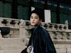 경복궁 해태상 파괴사건 上