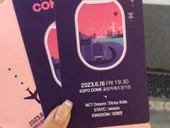 롯데 패밀리 콘서트 다녀오다