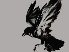 Code name - Crow