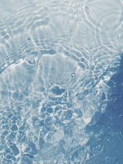 꿈에 갇혔던 이야기