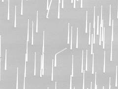 Nanowires Market Size, Share, Global Industry Overview, Growth Factors and Forecast 2023-2028