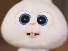 시티동 김여주!