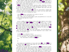 HL 랜덤가챠 : grape harvest