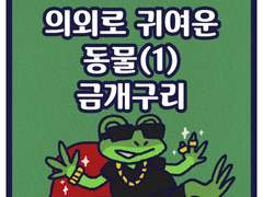 의외로 귀여운 동물(1) 금개구리