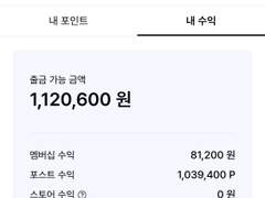 포타로 3개월만에 100만원 버는 법