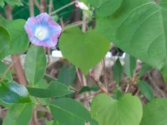 공시생 남편 뒷바라지 본격적으로 시작이다