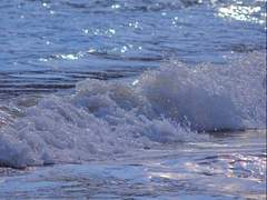 날개를 잃은 새(2)