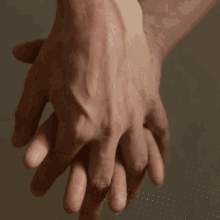 장현길채 이것저것