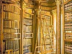 리벨론 펠레시안 / XY / 후플푸프 / 머글본