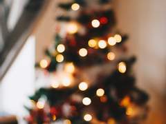 홀리데이 어게인 플리즈