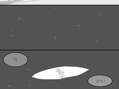 검은 잠자리 시체와 검은 나비 30