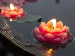 [우화원귀인/대현성] 연심지정(戀心之情) 2