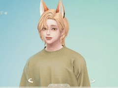 심즈4 플레이브 노아 심 배포