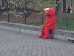 제모옥은 연재공지로 하겠습니다.