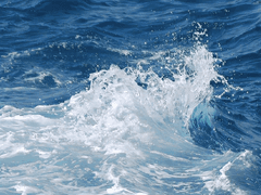 크리스마스 같은 건 없었으면 좋겠다