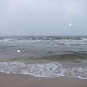 사랑을갈구했고사랑에충실했고사랑과사랑했다